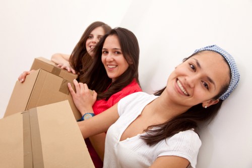 Flexible van transport for moving boxes and household items