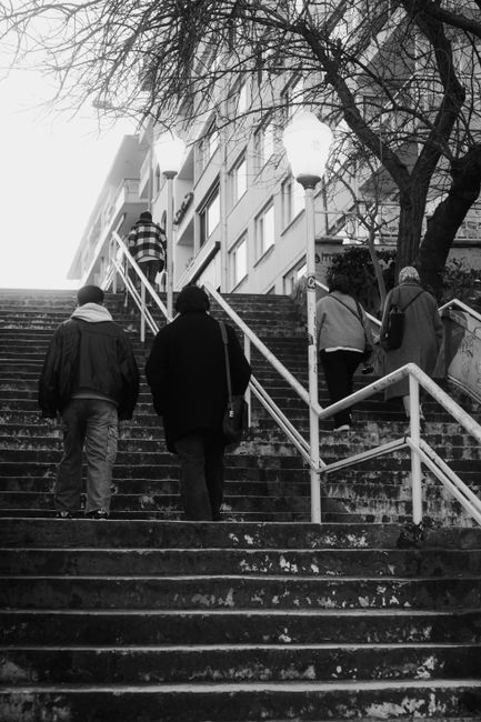 Black and white photograph showing five individuals ascending a steep outdoor staircase with concrete steps during daytime. The staircase is equipped with metal handrails on both sides. A prominent street lamp is visible near the top of the stairs, with leafless tree branches extending overhead. The people are dressed in casual clothing, with some carrying bags, and are walking in the direction of a residential building at the top of the stairs. The scene captures a moment of home relocation or moving process, emphasizing the challenging staircase environment that [COMPANY_NAME] might encounter during furniture transport or packing and moving services in St Helier, as referenced on the page titled 'Moving Down Tight Stairs in St Helier.'