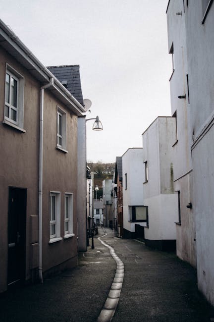 A close-up image of a small, orange-brown frog with black spots on its back, positioned on a textured green surface, likely leaf or moss. In the background, there are partially visible yellow objects that appear to be plastic or packaging materials, suggesting a packaging or moving context. The scene is indoors or in a shaded area with soft, diffused lighting. The frog is the main focus, with shallow depth of field rendering the background slightly blurred. The detailed texture of the frog’s skin and the surrounding environment supports the theme of careful handling and packing during a house relocation, as seen in professional removals services such as those offered by Man with Van St Helier.